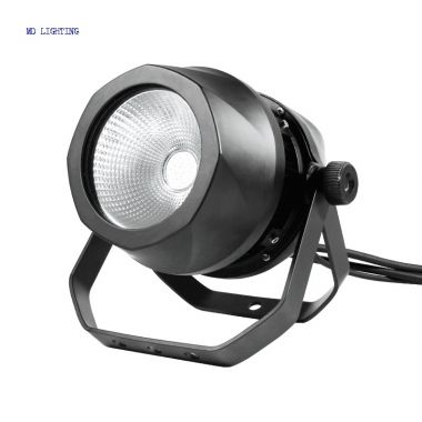 Waterproof COB LED Par 100W/200W